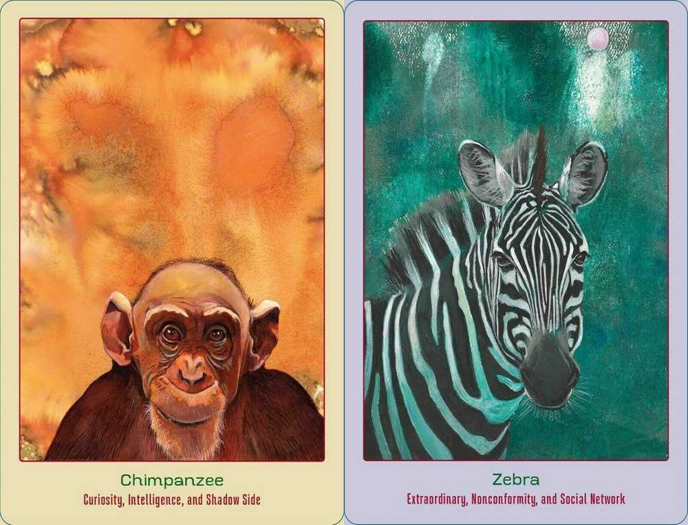 Bear And Company Animal Love Oracle Kortos