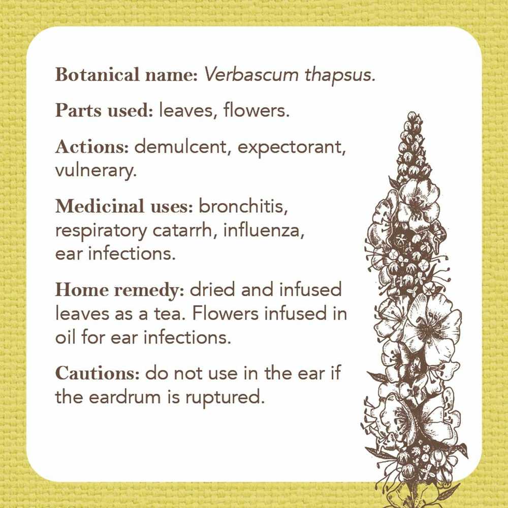 Rockpool Apothecary Flashcards Kortos