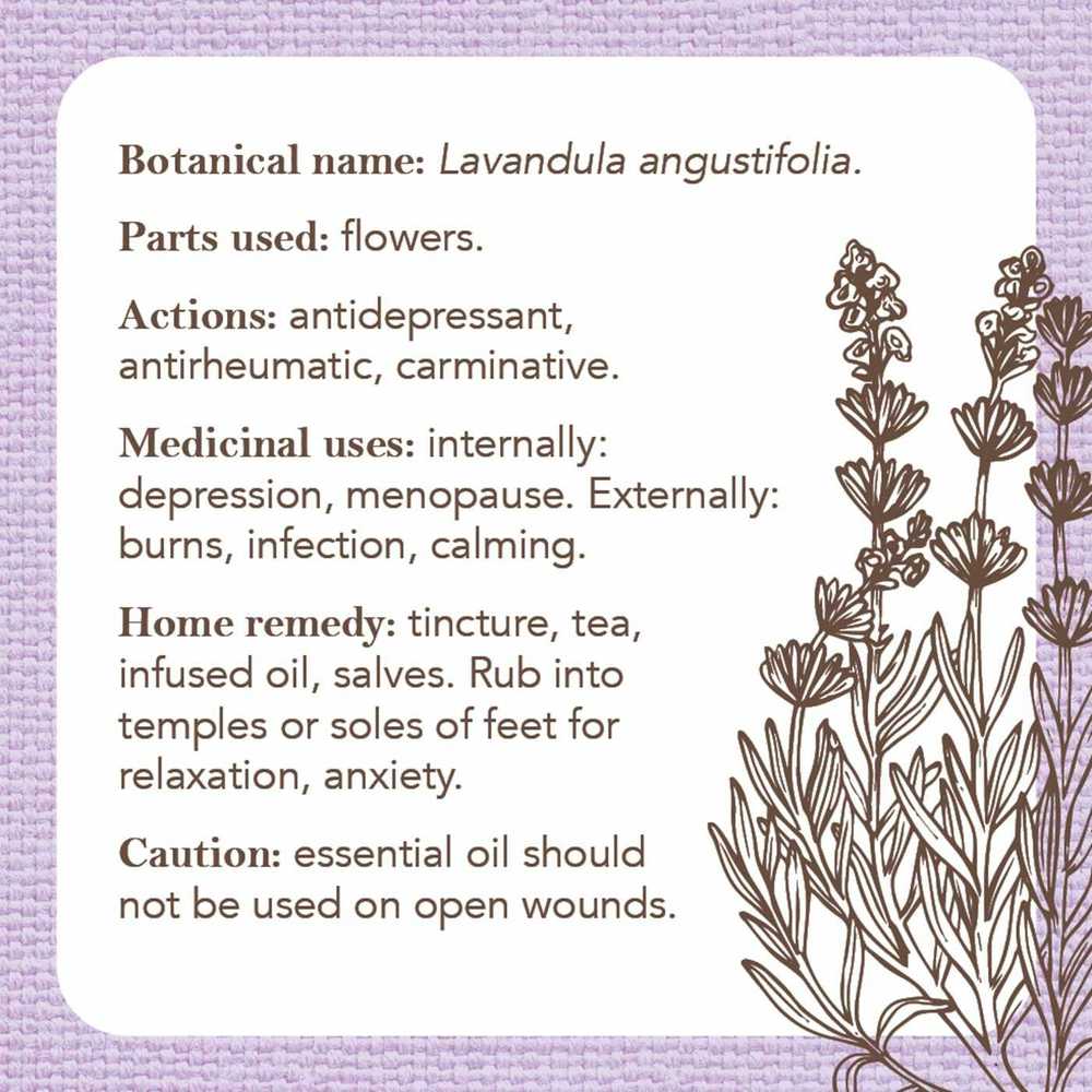 Rockpool Apothecary Flashcards Kortos