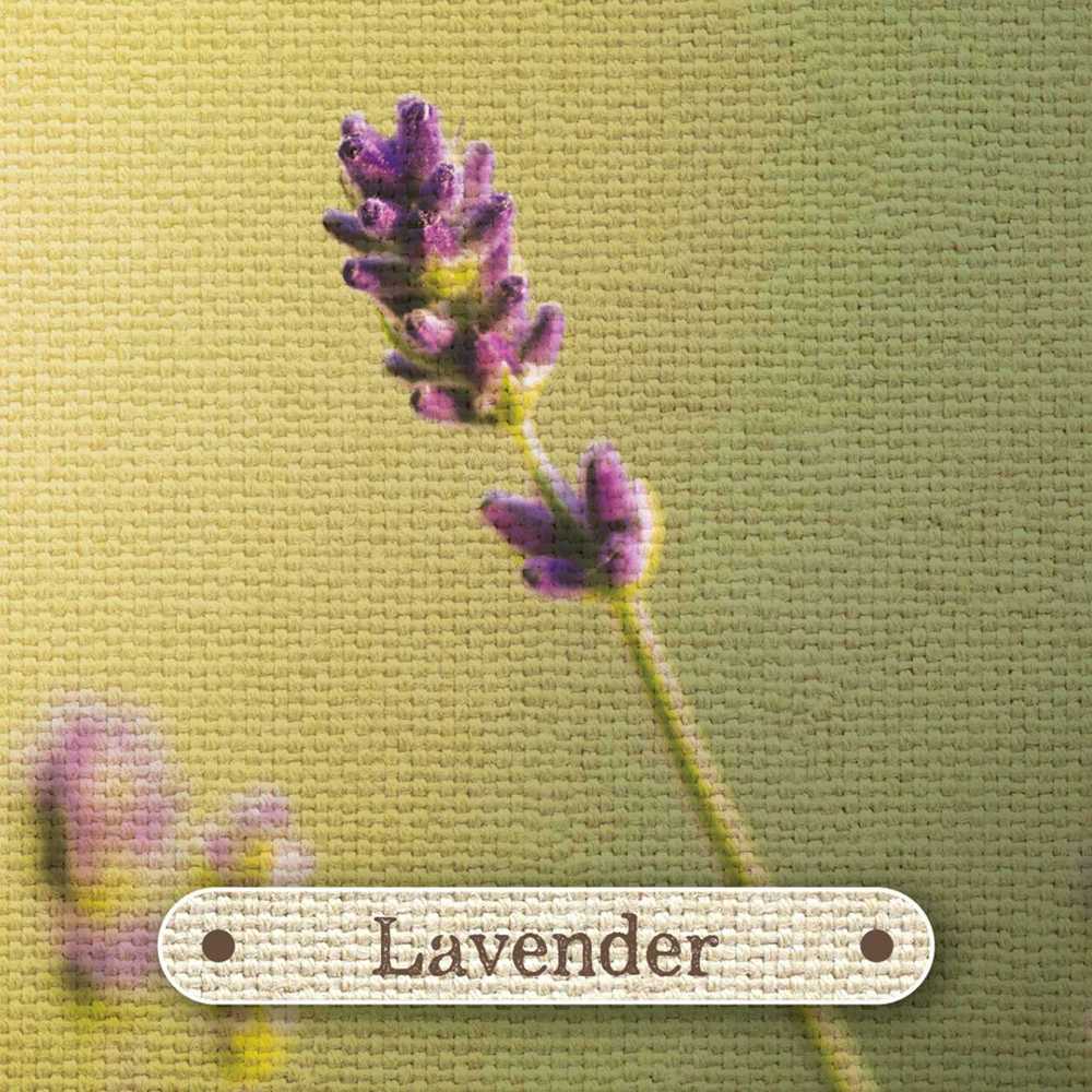 Rockpool Apothecary Flashcards Kortos