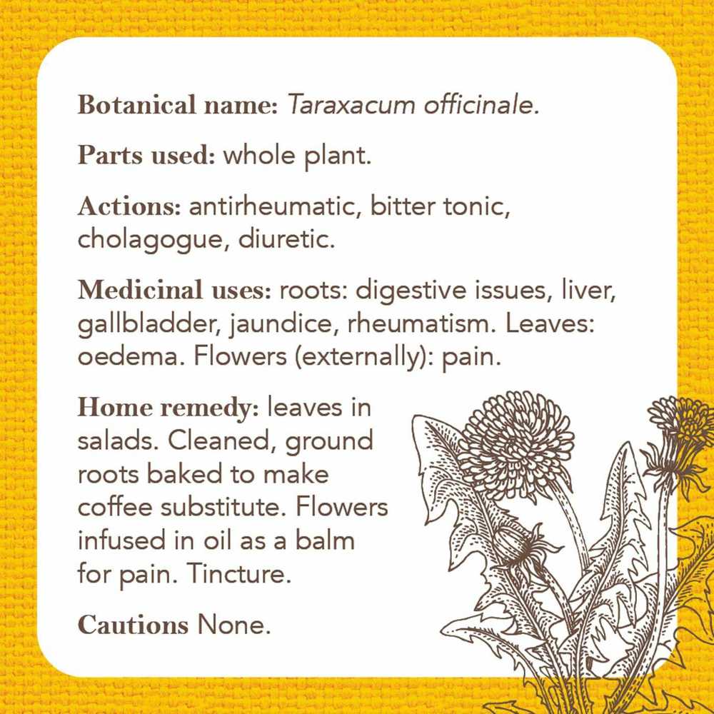 Rockpool Apothecary Flashcards Kortos