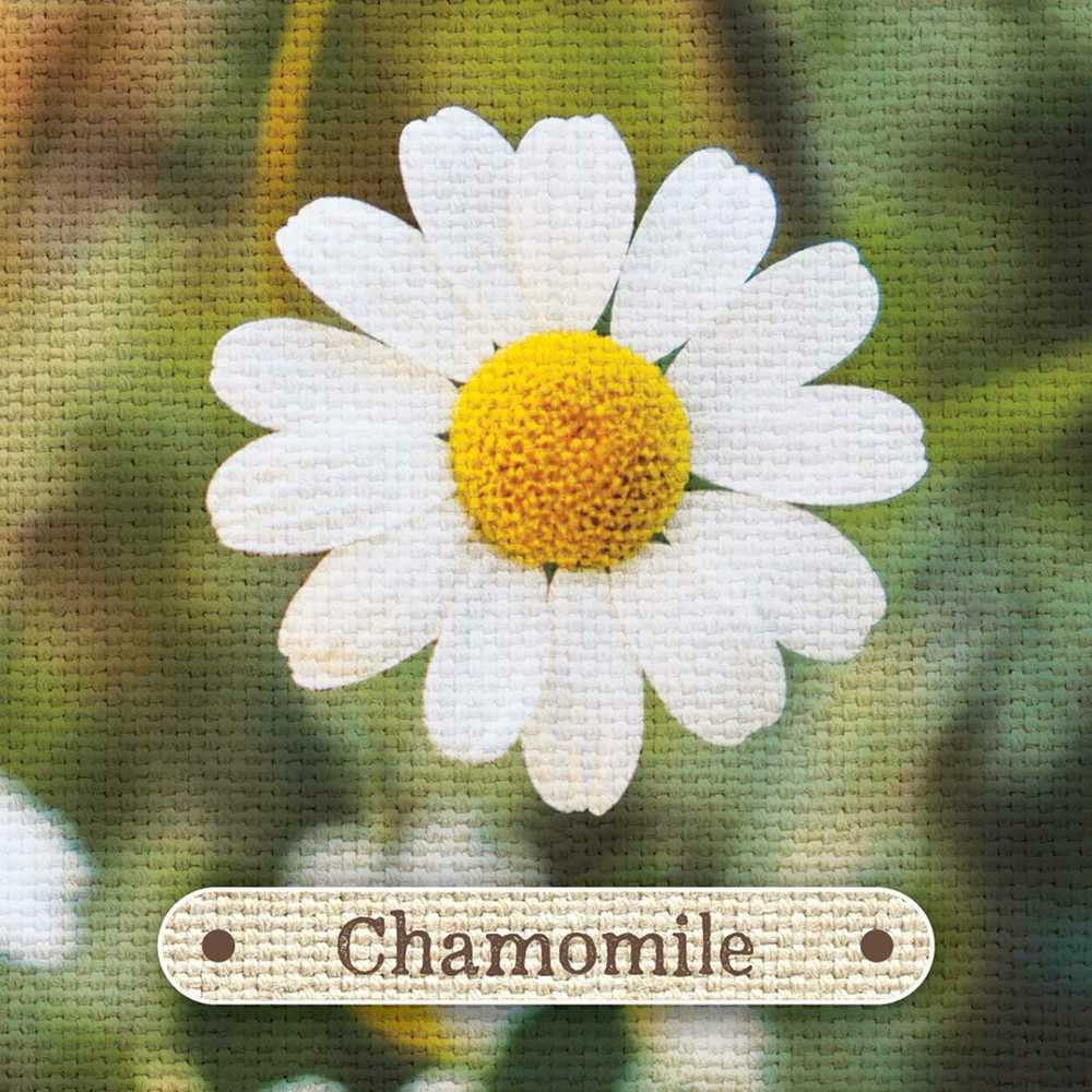Rockpool Apothecary Flashcards Kortos