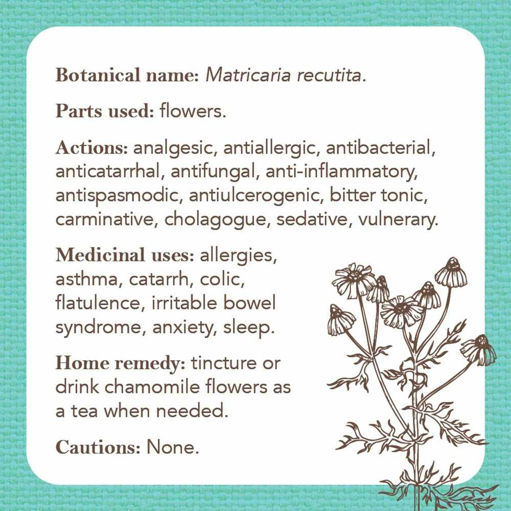 Rockpool Apothecary Flashcards Kortos
