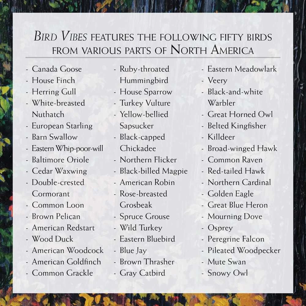 Beyond Words Meditacijos Kortos Bird Vibes Beyond Woords