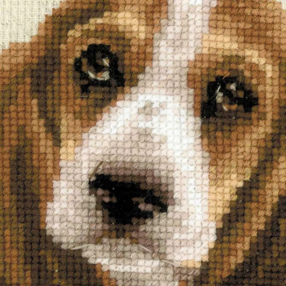 Riolis Basset Hound šuniukas 1578