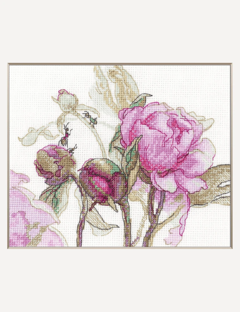 Riolis Kryželiu siuvinėjimo rinkinys - Aine kolekcija "Bijūnai. Džiaugsmas" 18x15 cm SRA1009