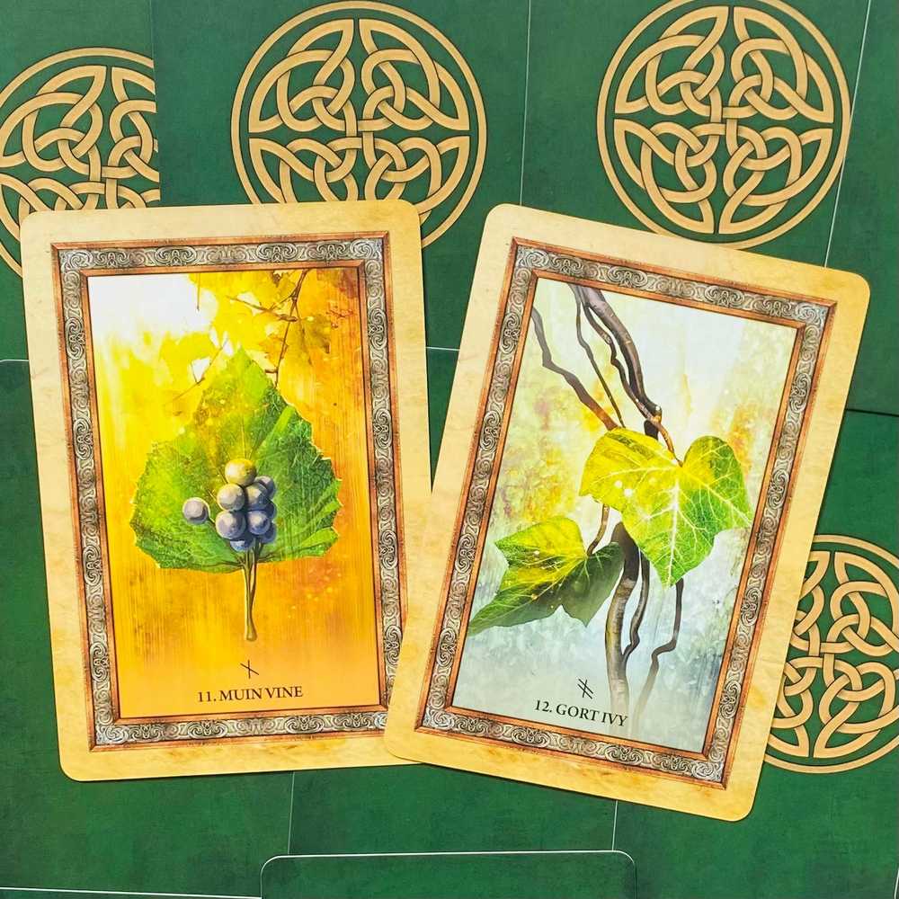 Blue Angel Mėlyna Angel Mėlyna Angel Celtic Tree Oracle Kortos