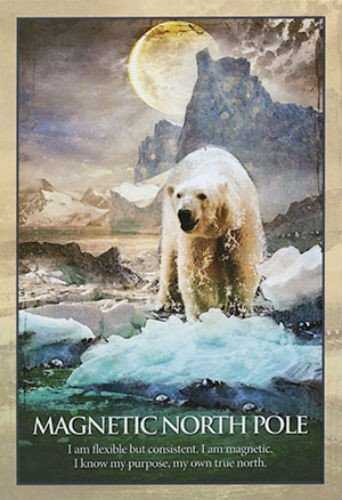 Blue Angel Mėlyna Angel Mėlyna Angel Earth Power Oracle Kortos