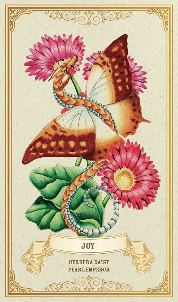 Blue Angel Mėlyna Angel Mėlyna Angel Enchanted Blossoms Oracle Kortos