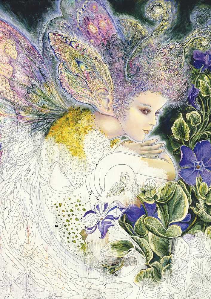 Blue Angel Mėlyna Angel Spalvinimo Knyga - Užburiančios Fėjos pagal Josephine Wall 96 Puslapiai 27.5x21.5 cm