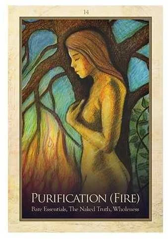 Blue Angel Mėlyna Angel Mėlyna Angel Gaia Oracle Kortos