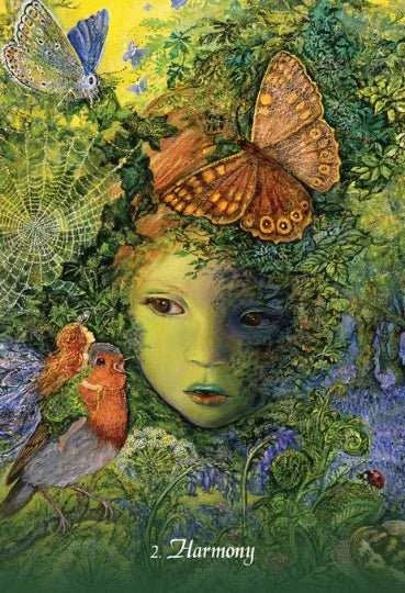 KNYGA Blue Angel Mėlyna Angel Mėlyna Angel Gratitude Oracle Kortos