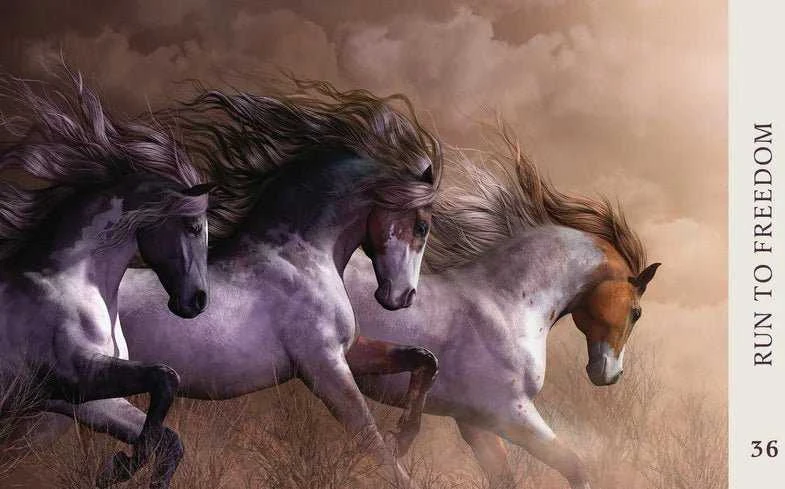 Blue Angel Mėlyna Angel Mėlyna Angel Horse Wisdom Oracle Kortos