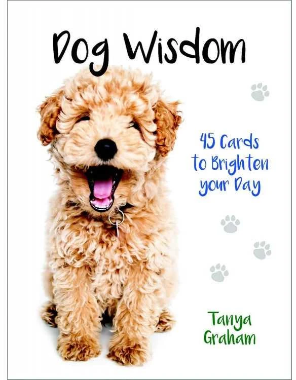 Blue Angel Mėlyna Angel Mėlyna Angel Inspirational Kortos Dog Wisdom