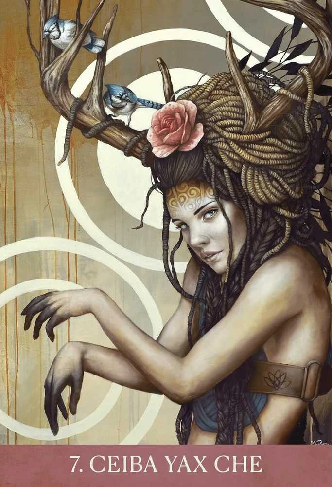 Blue Angel Mėlyna Angel Mėlyna Angel Medicine Heart Oracle Kortos