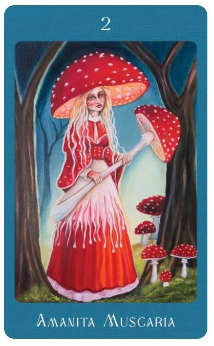 Blue Angel Mėlyna Angel Orakulo Kortelės - Mushroom Folk Oracle Cards 42-Card Deck Mėlyna Angel