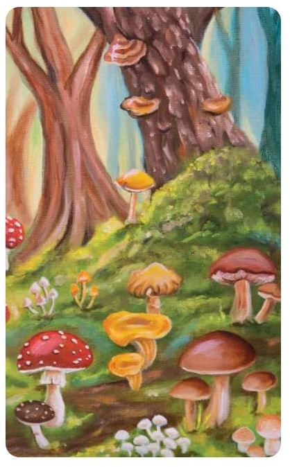 Blue Angel Mėlyna Angel Orakulo Kortelės - Mushroom Folk Oracle Cards 42-Card Deck Mėlyna Angel