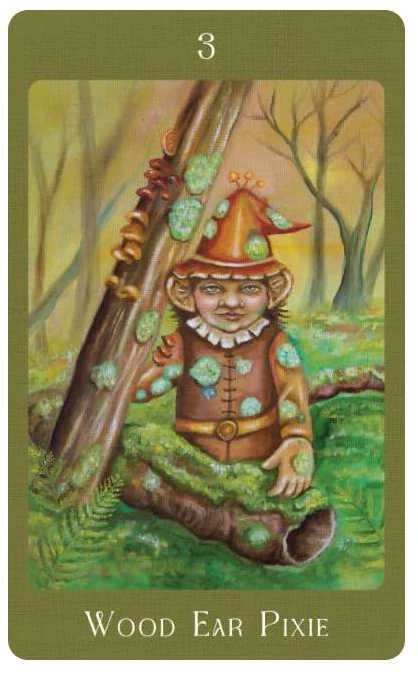 Blue Angel Mėlyna Angel Orakulo Kortelės - Mushroom Folk Oracle Cards 42-Card Deck Mėlyna Angel
