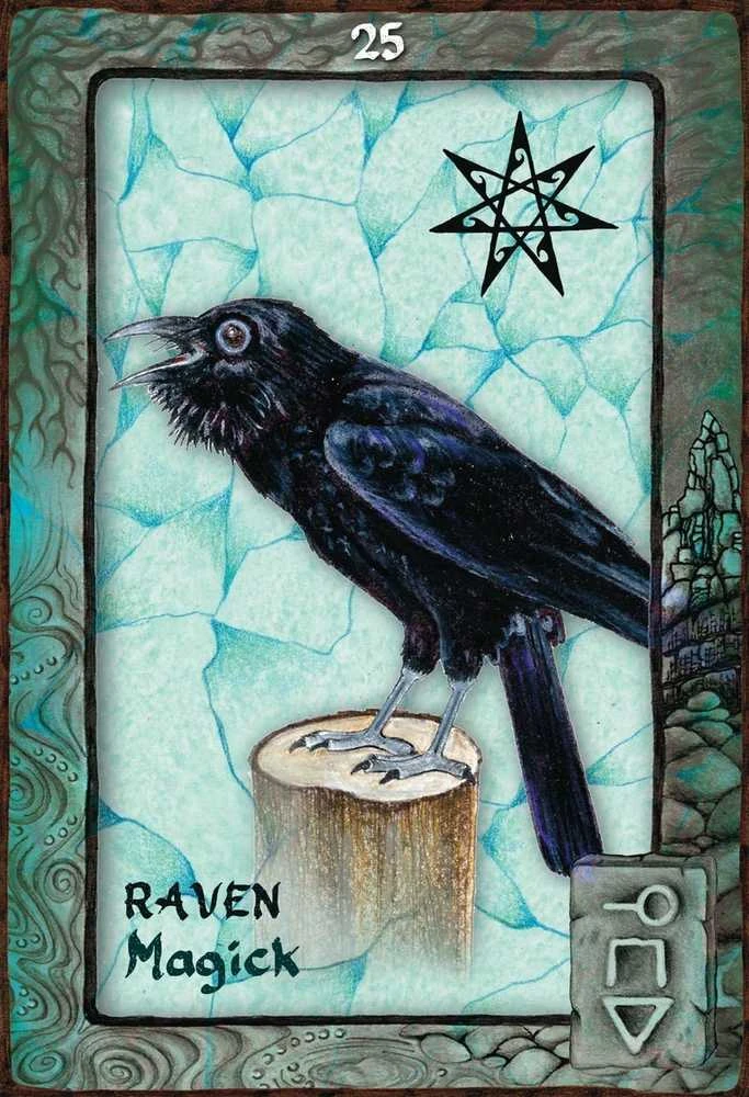 Blue Angel Mėlyna Angel Mėlyna Angel Animal Dreaming Oracle Kortos