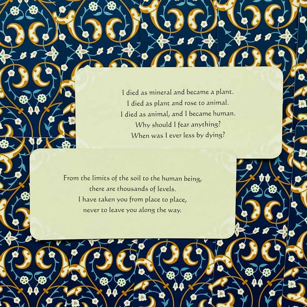 Blue Angel Mėlyna Angel Mėlyna Angel Rumi Kortos