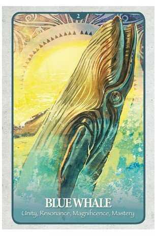 Blue Angel Mėlyna Angel Mėlyna Angel The Secret Language Of Animals Oracle Kortos