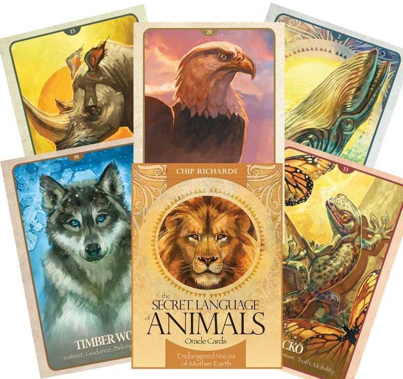 Blue Angel Mėlyna Angel Mėlyna Angel The Secret Language Of Animals Oracle Kortos