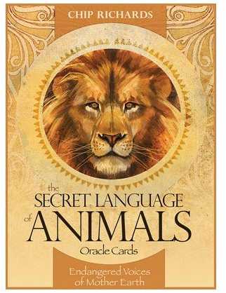 Blue Angel Mėlyna Angel Mėlyna Angel The Secret Language Of Animals Oracle Kortos