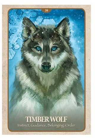 Blue Angel Mėlyna Angel Mėlyna Angel The Secret Language Of Animals Oracle Kortos