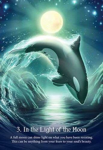 Blue Angel Mėlyna Angel Mėlyna Angel Whispers Of The Ocean Oracle Kortos