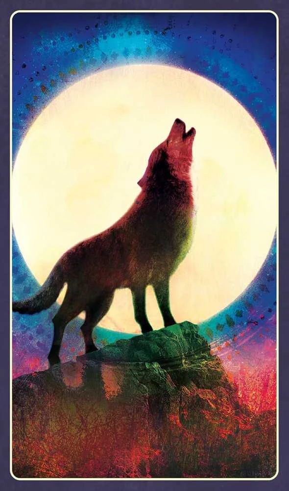 Blue Angel Mėlyna Angel Mėlyna Angel Wild Dreams Animal Oracle Kortos