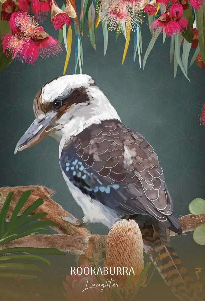 Blue Angel Mėlyna Angel Mėlyna Angel Wild Wisdom Australia Oracle Kortos