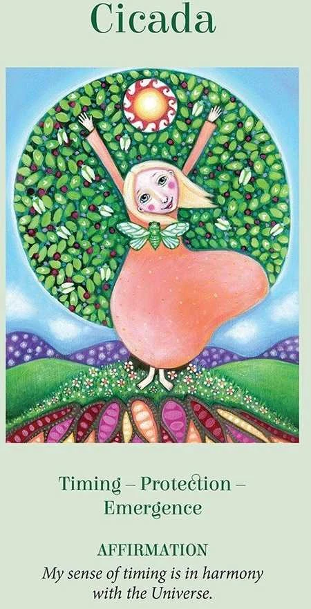 Blue Angel Mėlyna Angel Mėlyna Angel Wings Of Wisdom Oracle Kortos