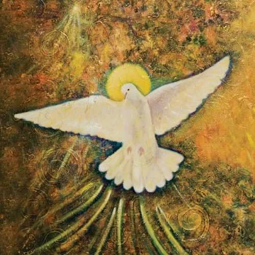 Blue Angel Mėlyna Angel Mėlyna Angel Wisdom Of Gaia Knyga