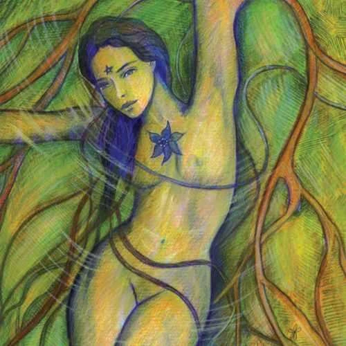 Blue Angel Mėlyna Angel Mėlyna Angel Wisdom Of Gaia Knyga