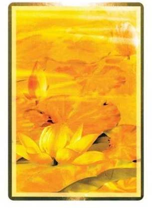 Blue Angel Mėlyna Angel Mėlyna Angel Wisdom Of The Golden Path Oracle Kortos