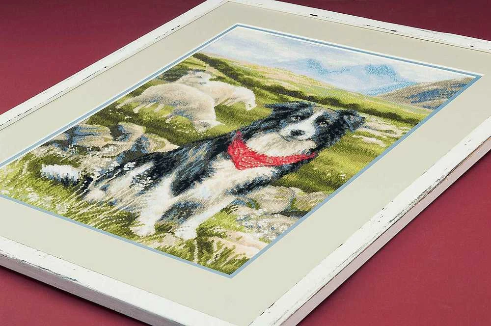 Border Collie siuvinėjimo rinkinys iš RIOLIS Nr.: 1767
