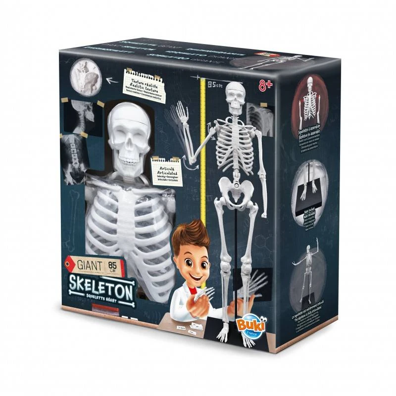 Buki France Buki Skeletas 85 cm