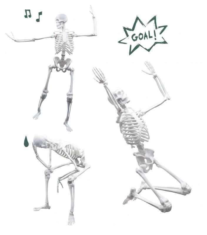 Buki France Skeletas 45 cm, Buki