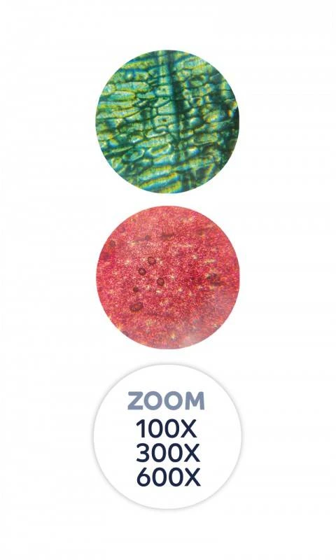 Buki France Vaikiškas mikroskopas 100×–600× su LED ir 20 eksperimentų rinkinys 7+