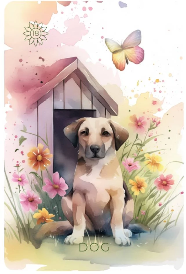 Cartamundi Kolekcionuojamos Kortelės - Summer Serenade Lenormand Deck With Guide