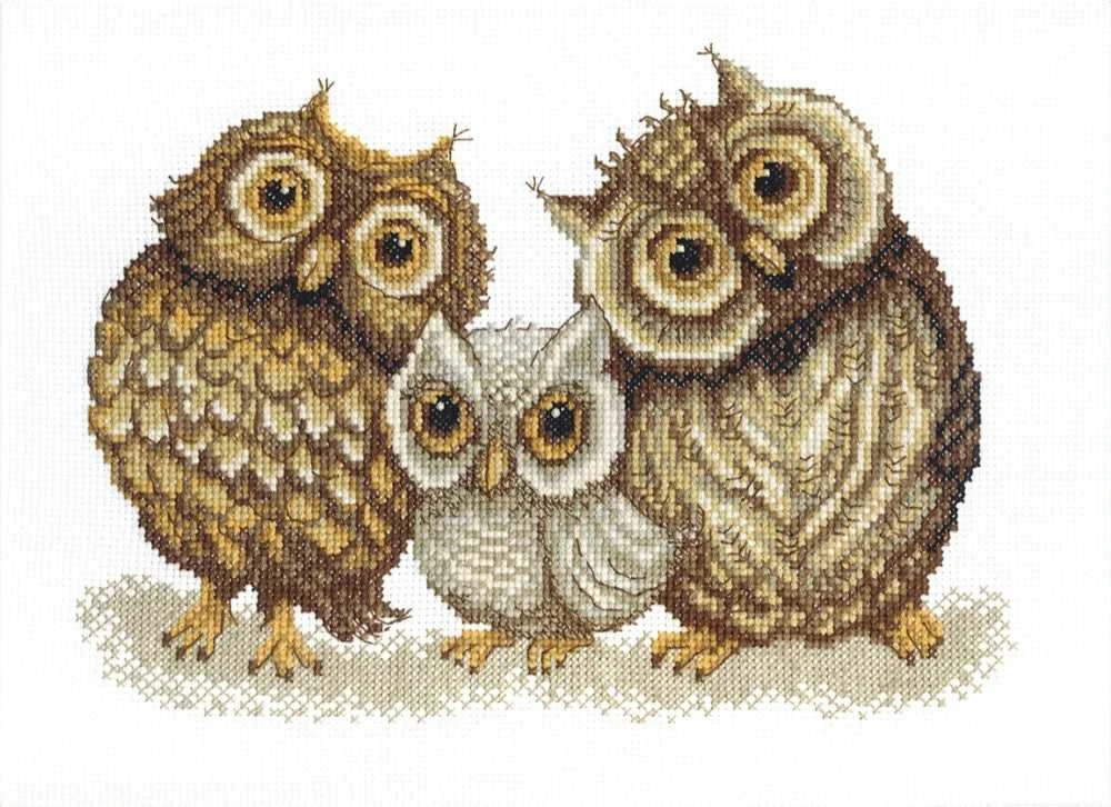 Charivna Mit Siuvinėjimo kryželiu rinkinys Pelėdų šeima, Aida 14, 9 spalvų, 27×20 cm