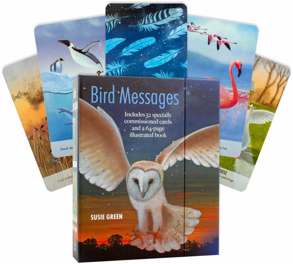 KNYGA Bird Messages Kortos Cico Books