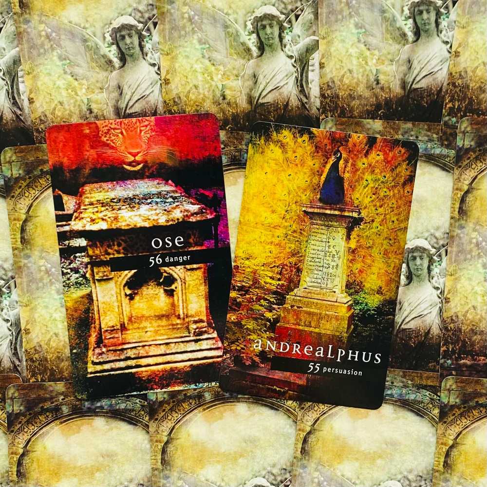KNYGA Cico Books Fallen Angel Oracle kortų ir knygos rinkinys