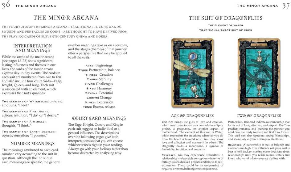 Cico Books Gothic Steampunk taro kortos su knyga – 78 kortų rinkinys