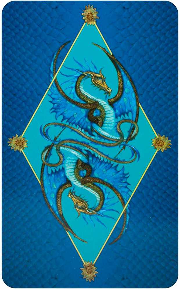 KNYGA Cico Books The Dragon Taro Kortos
