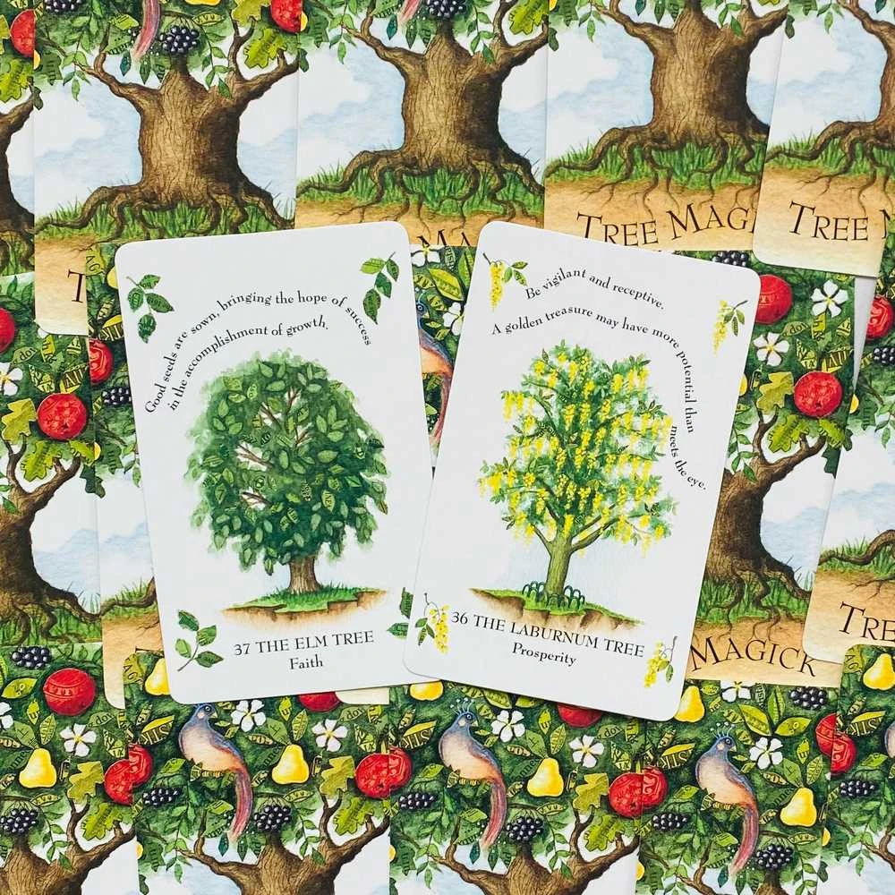 Cico Books Tree Magick Oracle Kortos