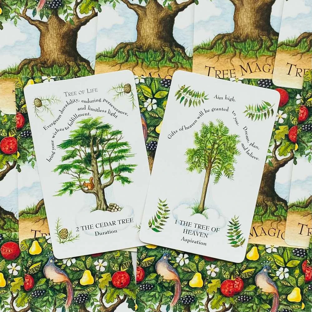 Cico Books Tree Magick Oracle Kortos