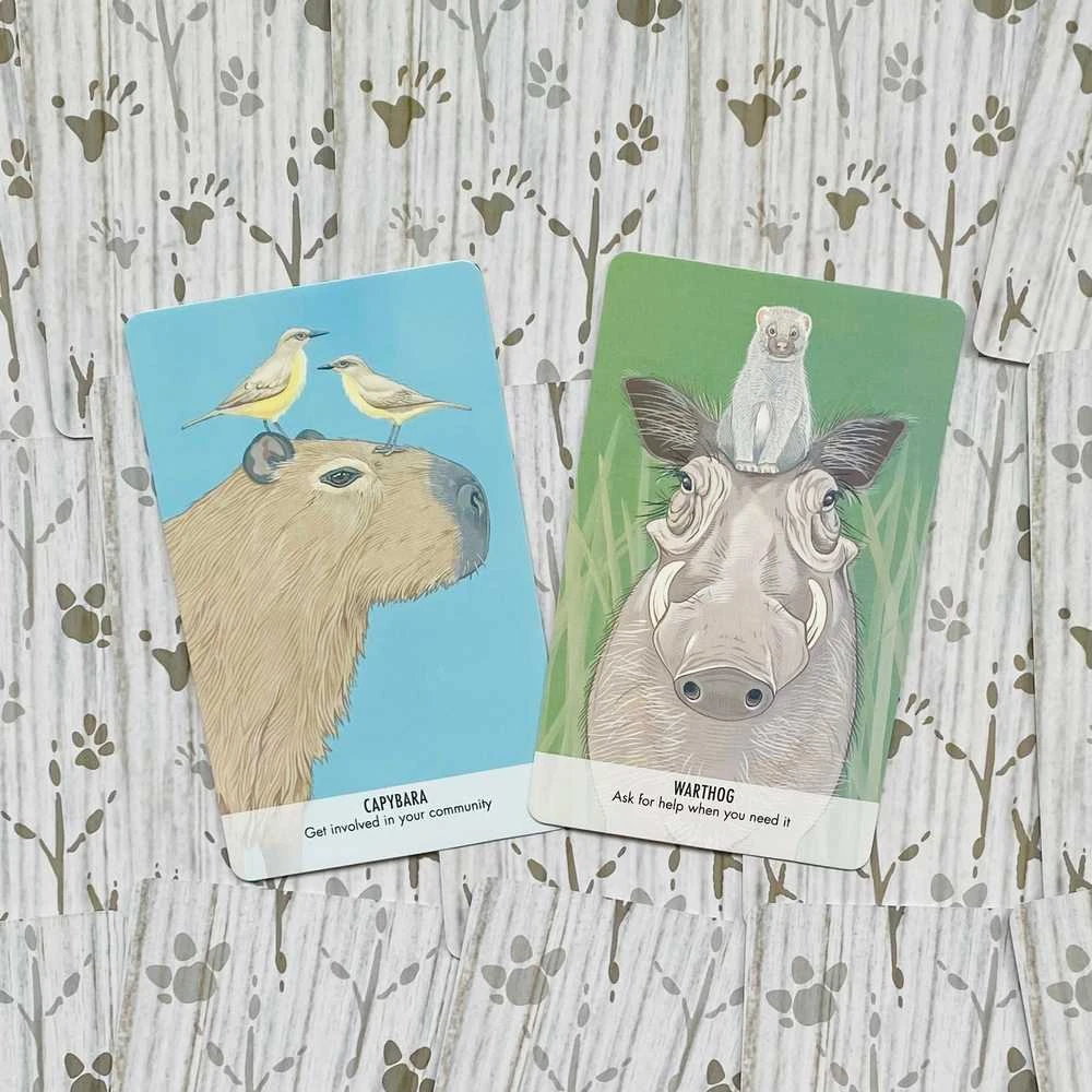 Cico Books Unusual Animal Messages Oracle kortos