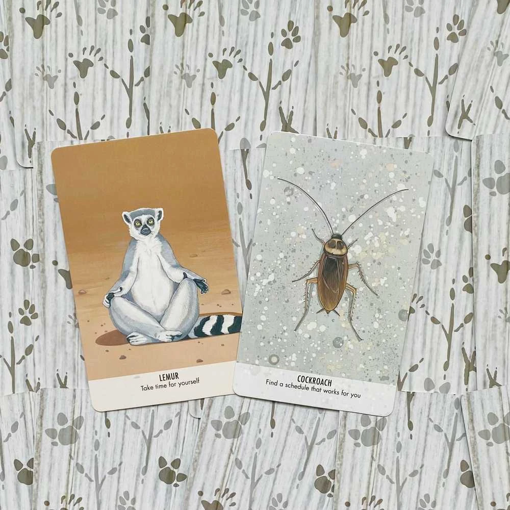 Cico Books Unusual Animal Messages Oracle kortos