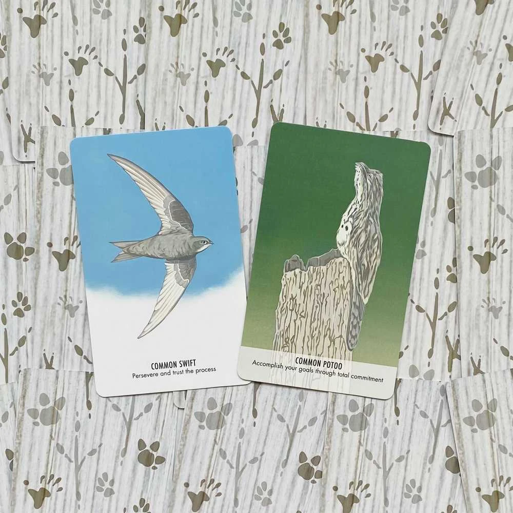 Cico Books Unusual Animal Messages Oracle kortos